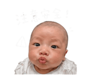 843223037