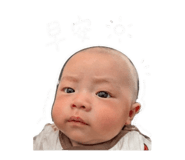 843223050