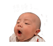 843223058