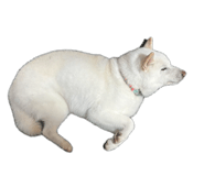 843230691