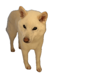 843230692