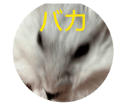 843231442