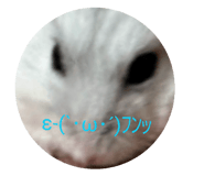 843231445