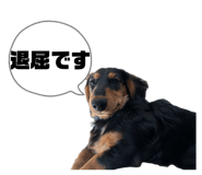 843231476