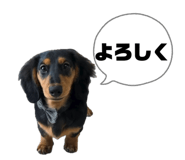 843231477