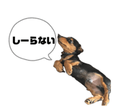 843231479