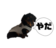 843231480