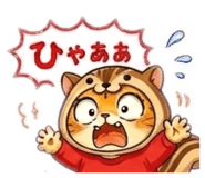 843231642