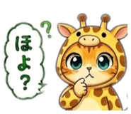 843231646