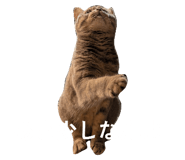 843231662