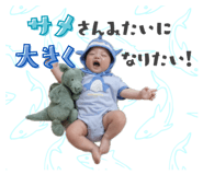 843231727
