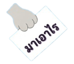 843232272