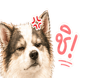 843232740