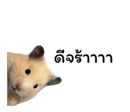 843233066