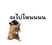 843233069