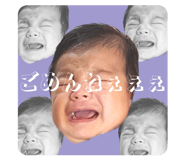 843233156
