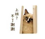 843233275