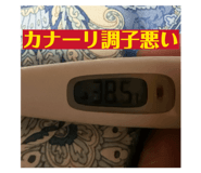 843233516