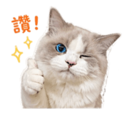 843233554