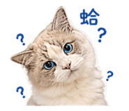 843233561