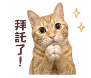 843234159