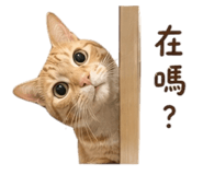 843234160