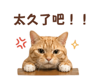 843234175