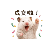 843234202
