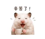 843234208