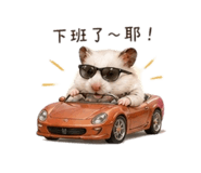 843234221