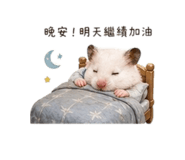 843234222