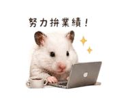 843234224