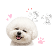 843234323