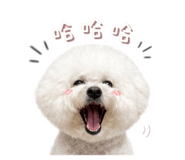 843234333