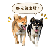 843234585