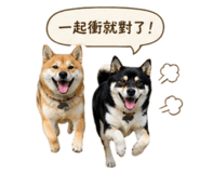 843234588