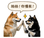 843234589