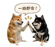 843234595