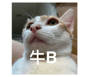 843234864