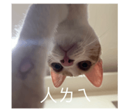 843234868