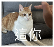 843234877