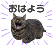 843235009