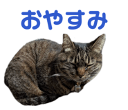 843235010