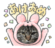 843235013