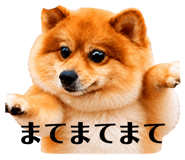 843235019
