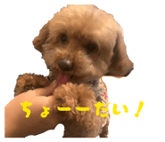 843235142