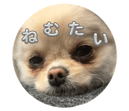 843235186