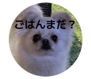 843235187