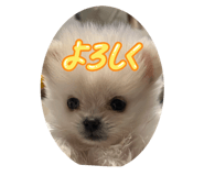 843235188