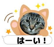 843235246